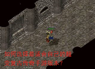 ���ѡ�����ʺ��Լ��ĳ��临�Ŵ������ΰ汾��