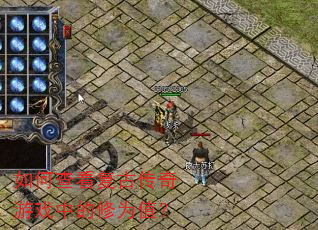 ��β鿴���Ŵ�����Ϸ�е���Ϊֵ��