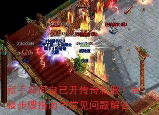 ��������Լ�������˽������������ָ���볣��������
