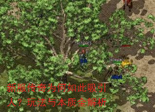 �·�����Ϊ����������ˣ��淨�뱾��ȫ����
