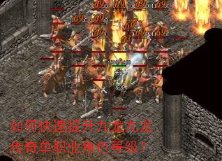 ��ο������������������浥ְҵ��ɫ�ȼ���