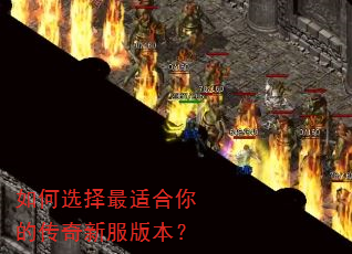 ���ѡ�����ʺ���Ĵ����·��汾��