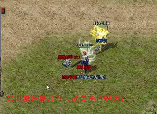 ��ο����������������ɫ�ȼ���