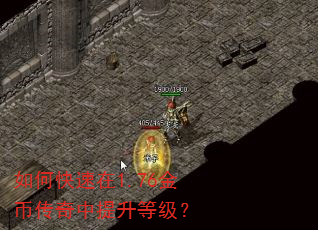 如何快速在1.76金币传奇中提升等级? 如何快速在1.76金币传奇中提升等级?