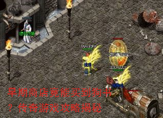 早期商店竟能买到狗书?传奇游戏攻略揭秘 早期商店竟能买到狗书?传奇游戏攻略揭秘
