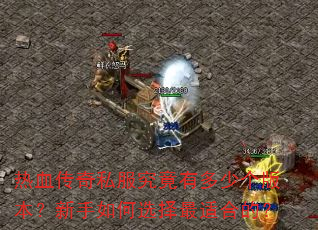 ��Ѫ����˽�������ж��ٸ��汾���������ѡ�����ʺϵģ�