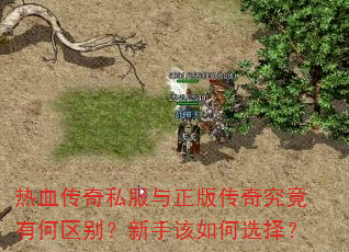 热血传奇私服与正版传奇究竟有何区别?新手该如何选择? 热血传奇私服与正版传奇究竟有何区别?新手该如何选择?