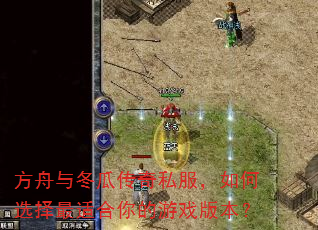 方舟与冬瓜传奇私服,如何选择最适合你的游戏版本? 方舟与冬瓜传奇私服,如何选择最适合你的游戏版本?