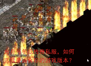 方舟与冬瓜传奇私服,如何选择最适合你的游戏版本? 方舟与冬瓜传奇私服,如何选择最适合你的游戏版本?