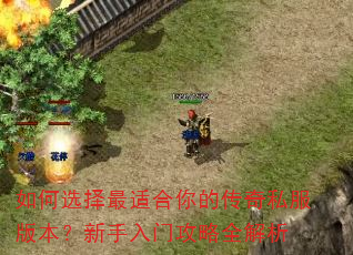 如何选择最适合你的传奇私服版本?新手入门攻略全解析 如何选择最适合你的传奇私服版本?新手入门攻略全解析