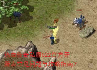 热血传奇私服022官方开服表常见问题与攻略指南? 热血传奇私服022官方开服表常见问题与攻略指南?