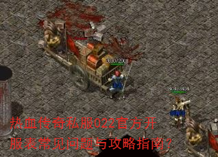 ��Ѫ����˽��022�ٷ����������������빥��ָ�ϣ�