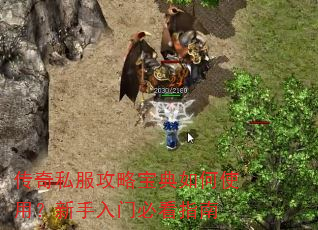 传奇私服攻略宝典如何使用?新手入门必看指南 传奇私服攻略宝典如何使用?新手入门必看指南