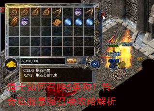 ��ʿ����ٻ�5����������˽����ǿ�ٻ����Խ���