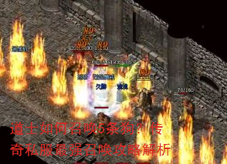 ��ʿ����ٻ�5����������˽����ǿ�ٻ����Խ���